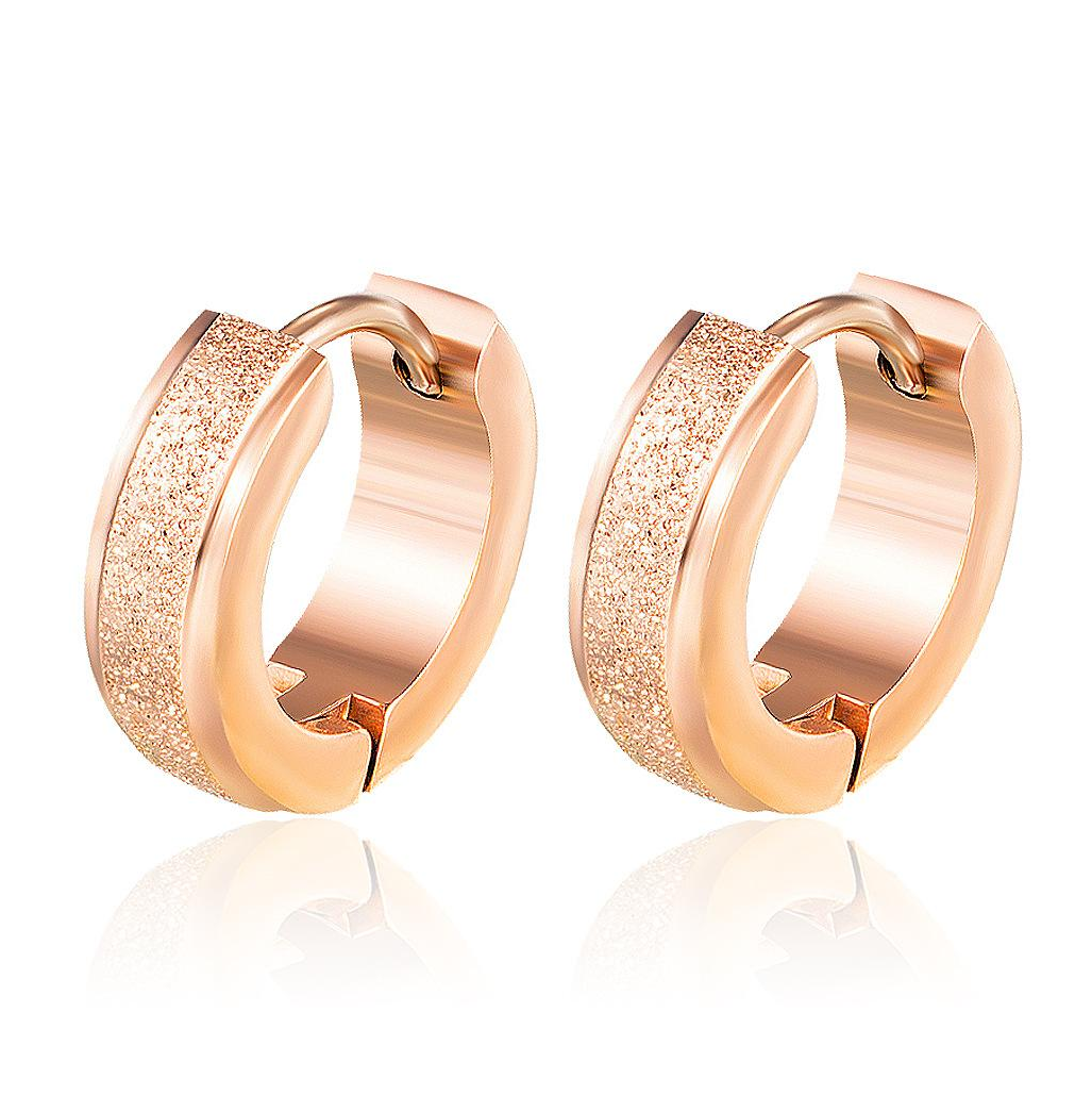 Earrings AG-SS-20210 High End Zircon Rose Gold Plating Stainless Steel hook Earrings Women Jewelry Factory