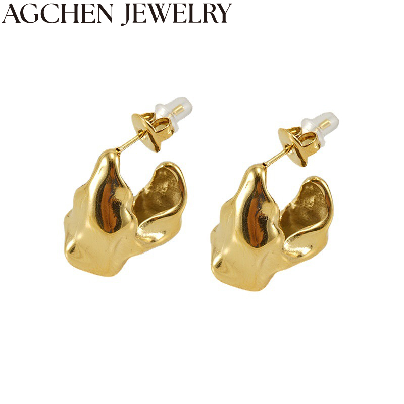 AG Geometric Stainless Steel Women's Earrings AG-ZYG356