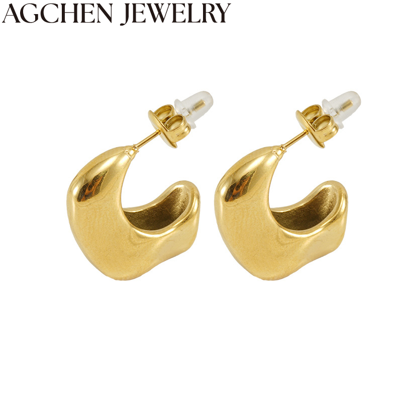 AG Abstract Shape Stainless Steel Earrings for Women AG-ZYG355