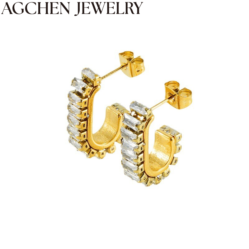 AG Sparkling Zircon Earrings AG-ZYG453