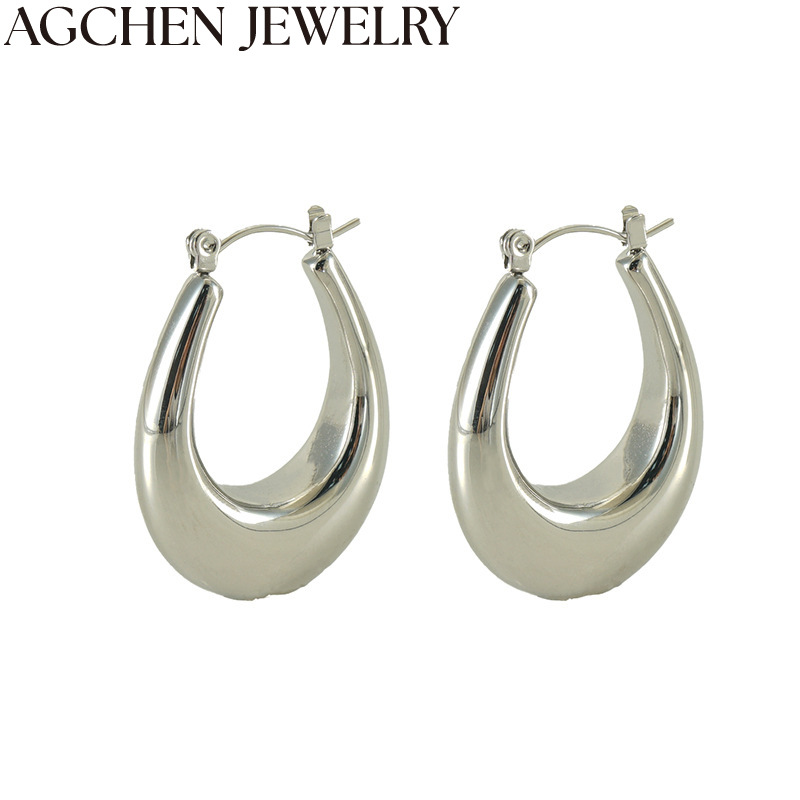 AG Trendy Women's Stainless Steel Earrings AG-ZYS242