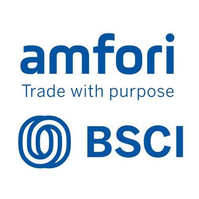 Beyond the Sparkle: A Glimpse into Our BSCI-Certified Workshop